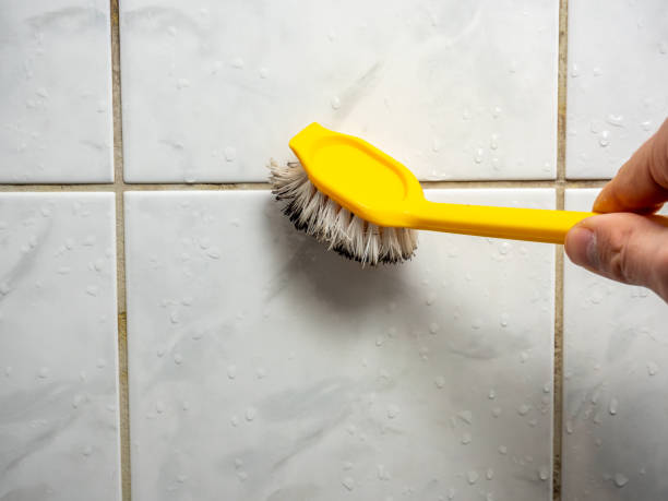 Best Commercial Mold Removal  in Hutto, TX